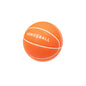 Mini Veniceball
