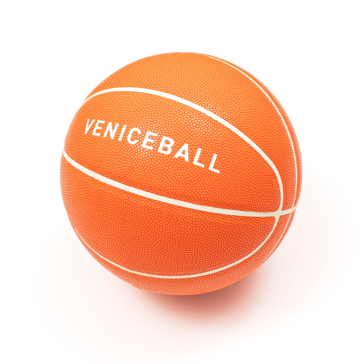 Veniceball Basketball