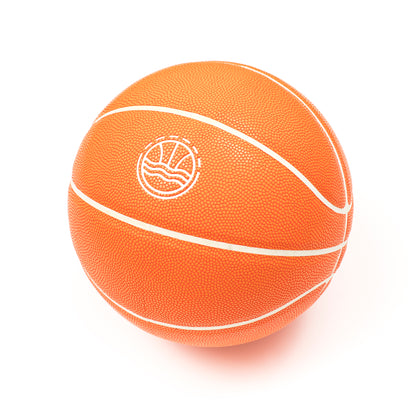 Veniceball Basketball